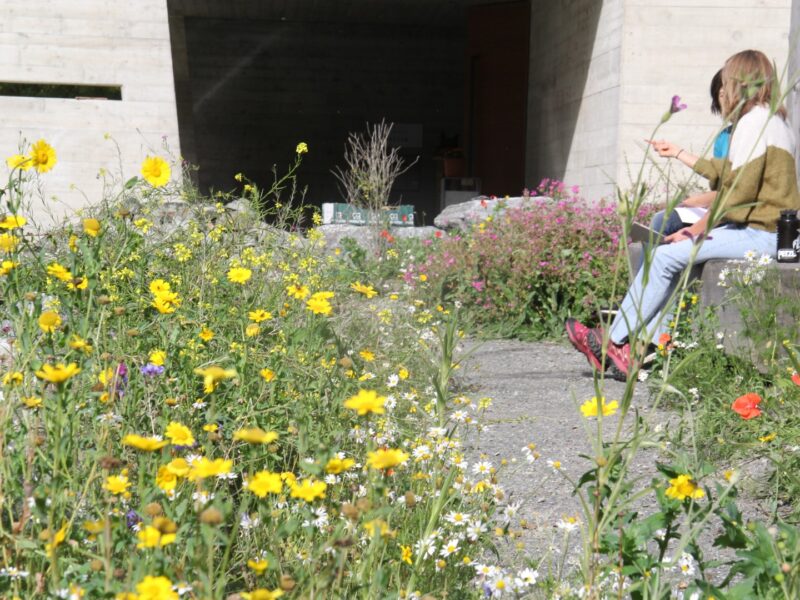 Naturgarten als Aufenthaltsraum