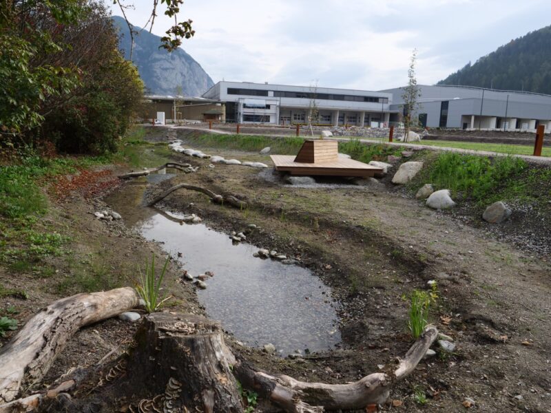 Wassergraben mit Feuchtwiese